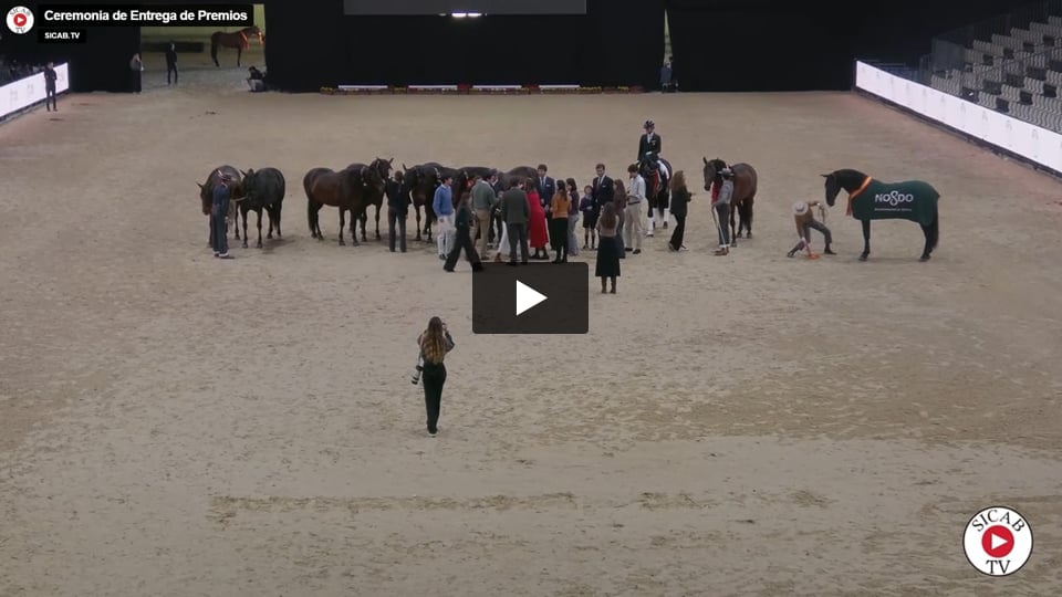 Entrega Premios SICAB 2025