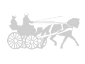 	Carriage driving